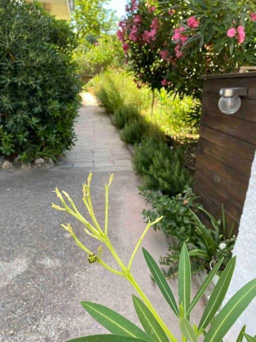 Une Pause Au Paradis Sorgues Exterior foto