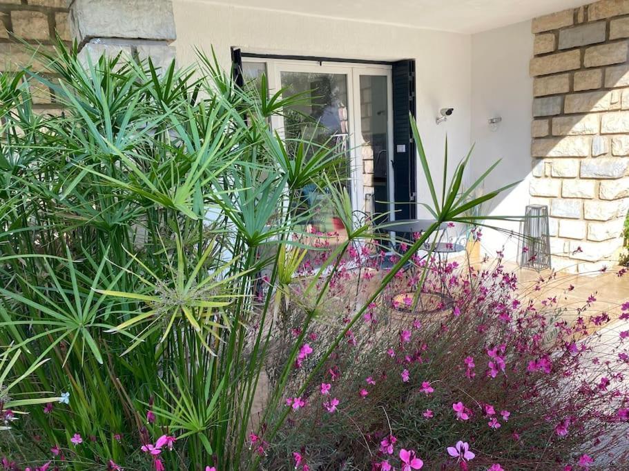 Une Pause Au Paradis Sorgues Exterior foto