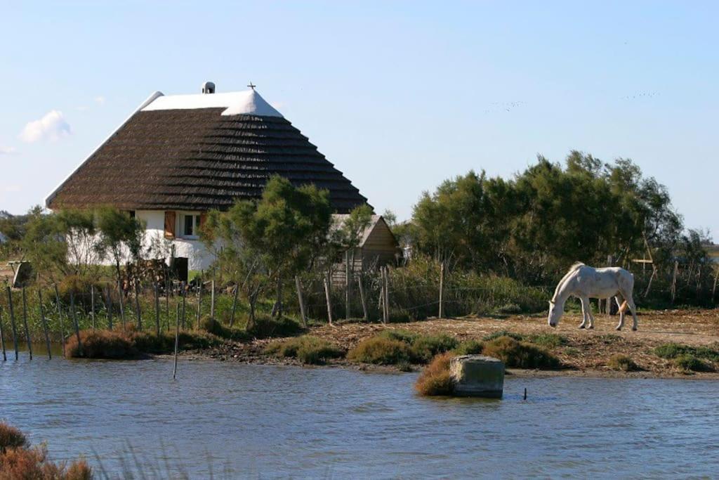 Une Pause Au Paradis Sorgues Exterior foto
