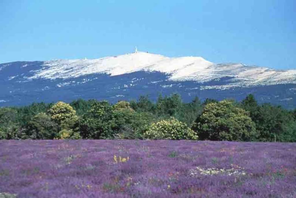 Une Pause Au Paradis Sorgues Exterior foto