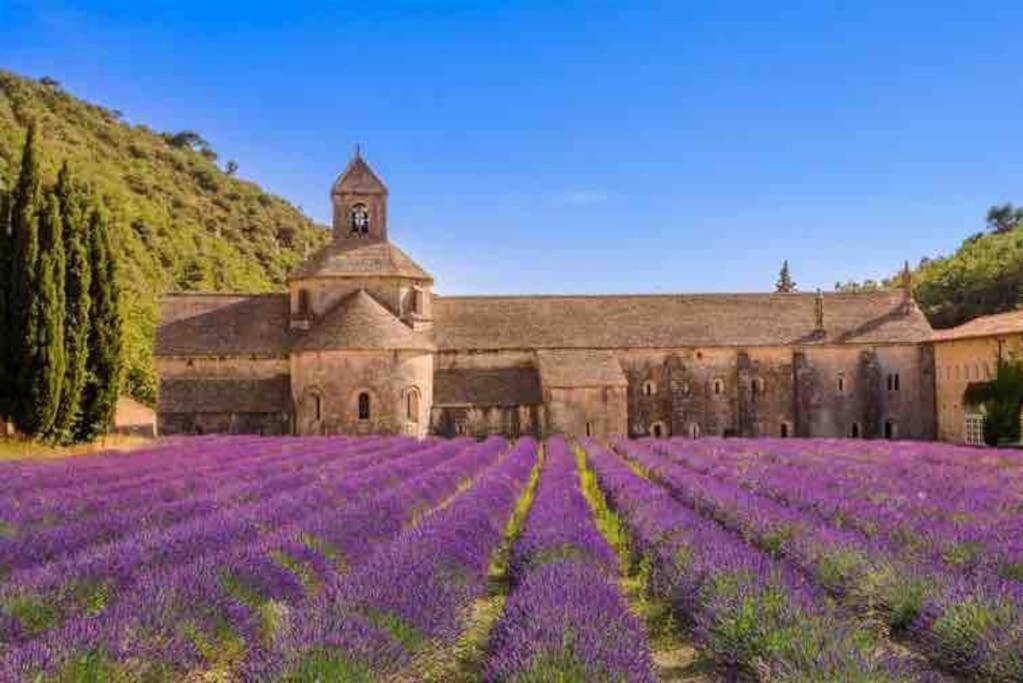 Une Pause Au Paradis Sorgues Exterior foto