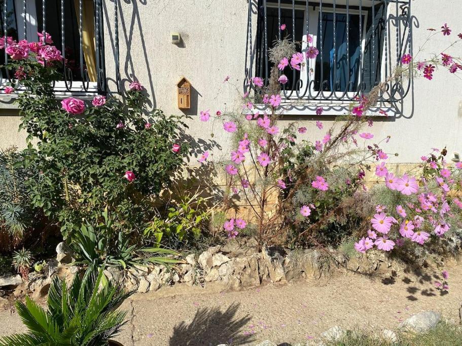Une Pause Au Paradis Sorgues Exterior foto